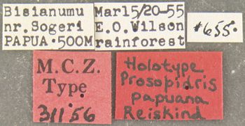 Media type: image; Entomology 31156   Aspect: labels